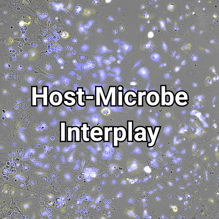 Research host microbe interplay 3