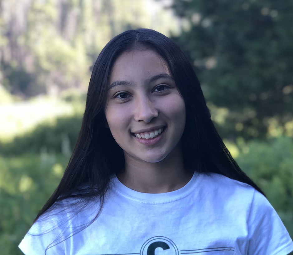 laurenseemanwebsite