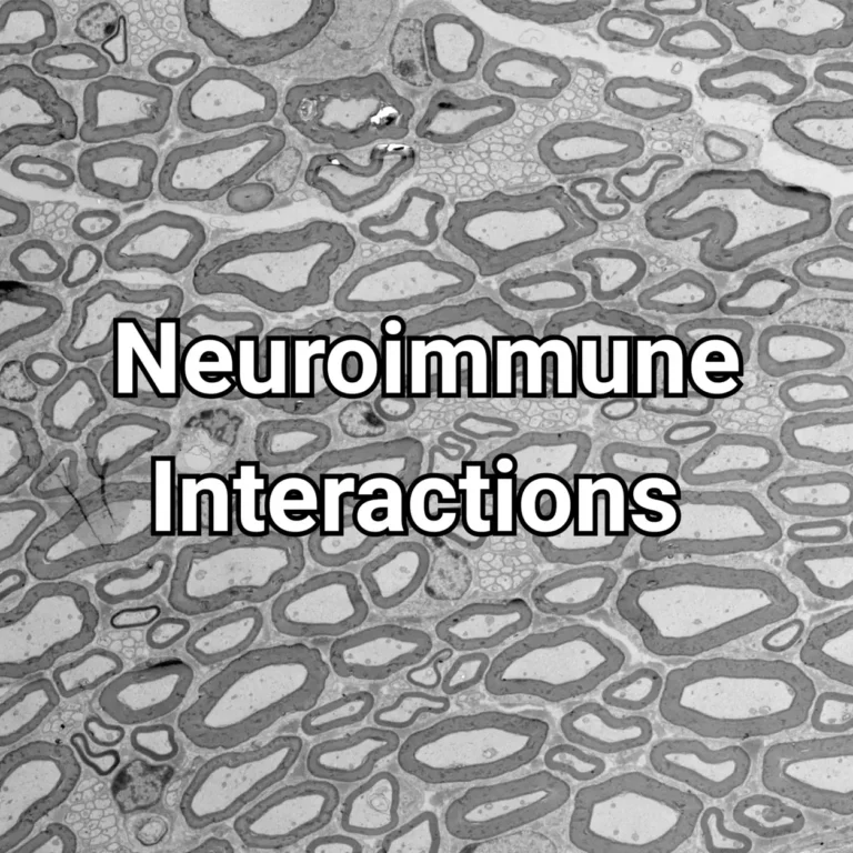 Research neuroimmune interactions