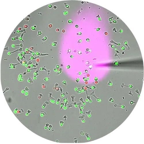 Research r1round removebg preview